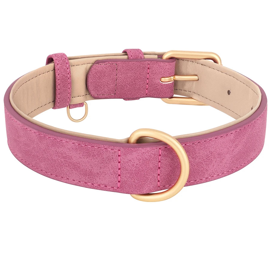 Adjustable Soft PU Dog Collar in Blue Brown or Pink Ideal for Small to Medium Pets