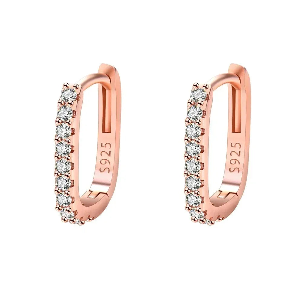 Original designer 925 Sterling Silver Elegant Crystal Jewelry Fashion Zircon Circle Hoop Earrings for Woman