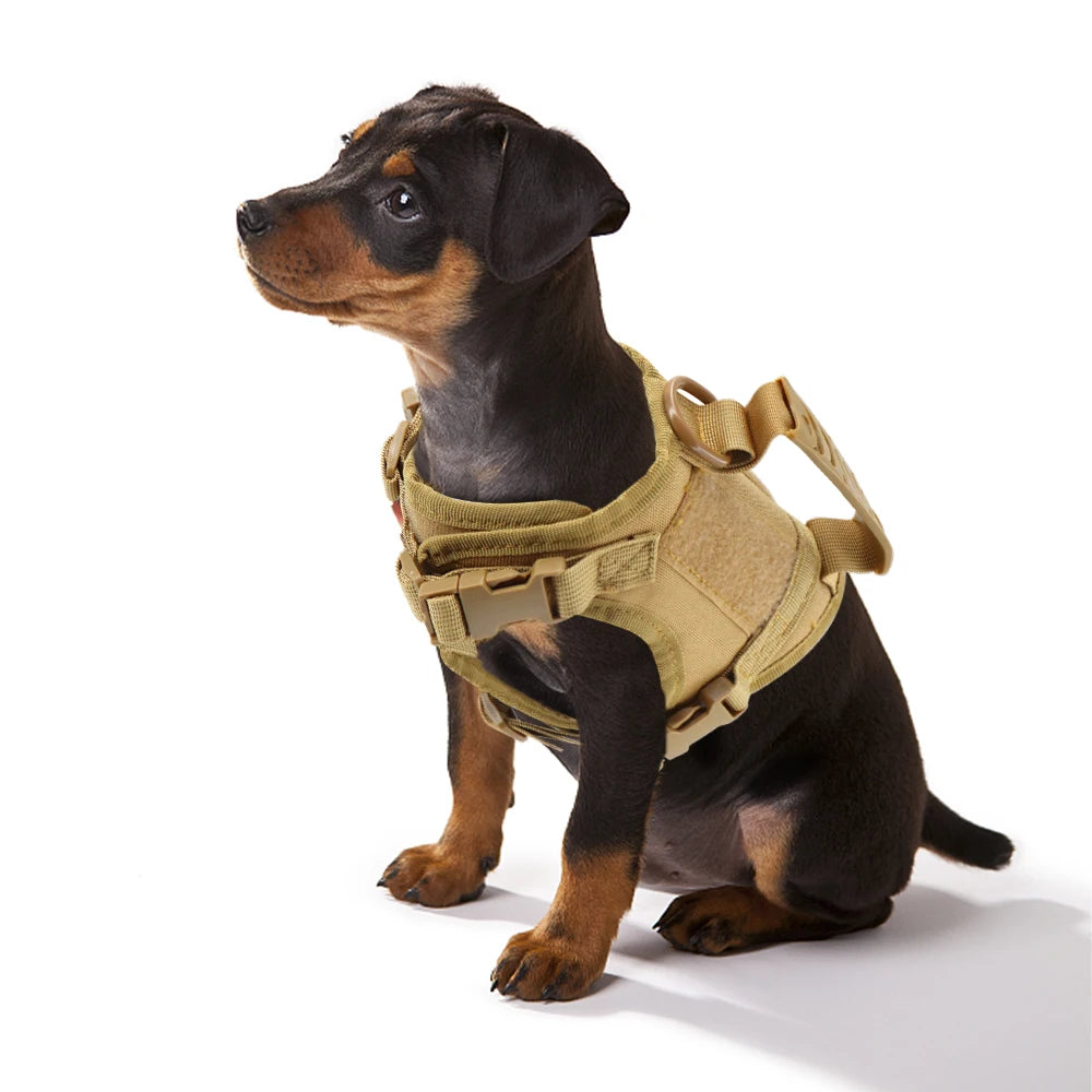 Tactical Puppy Harness Leash For Small Dogs Cats Adjustable Kitten Vest
