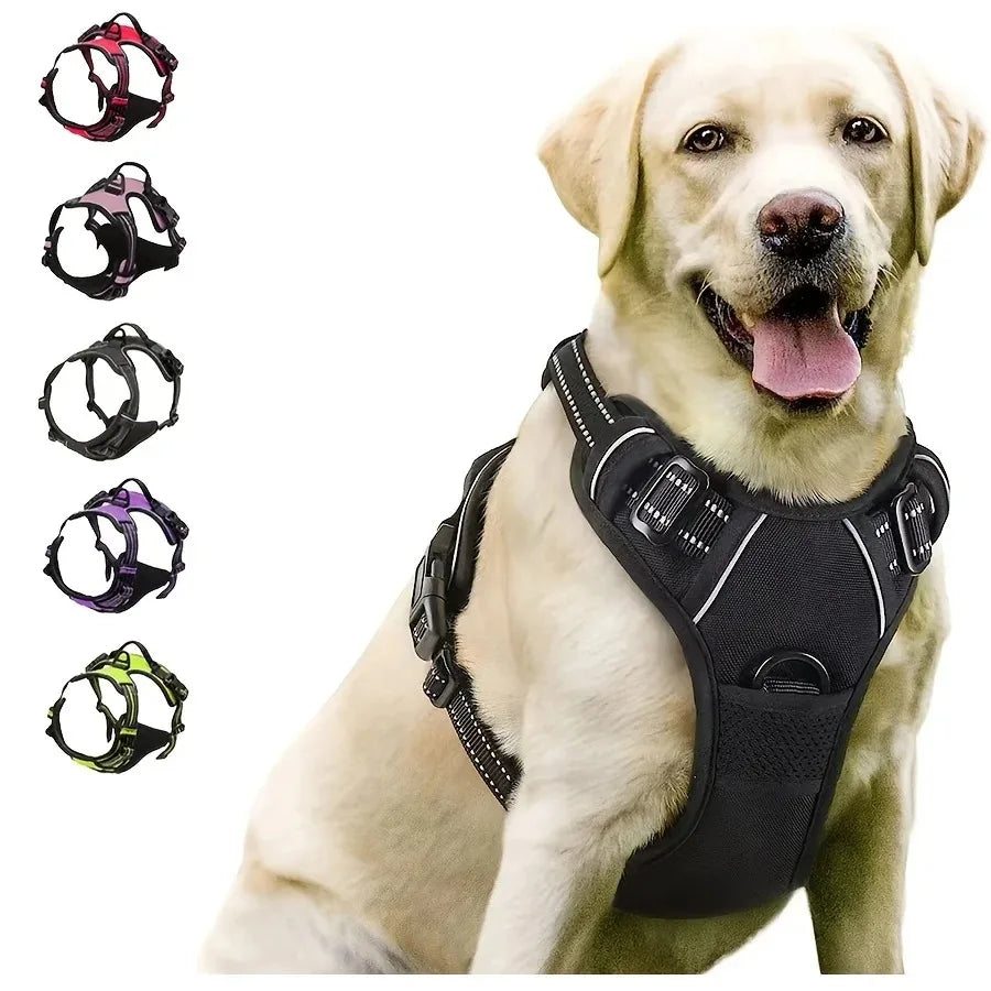 Dog Collars Harness Big Vests Leash Leather Accessories Medium Small Set