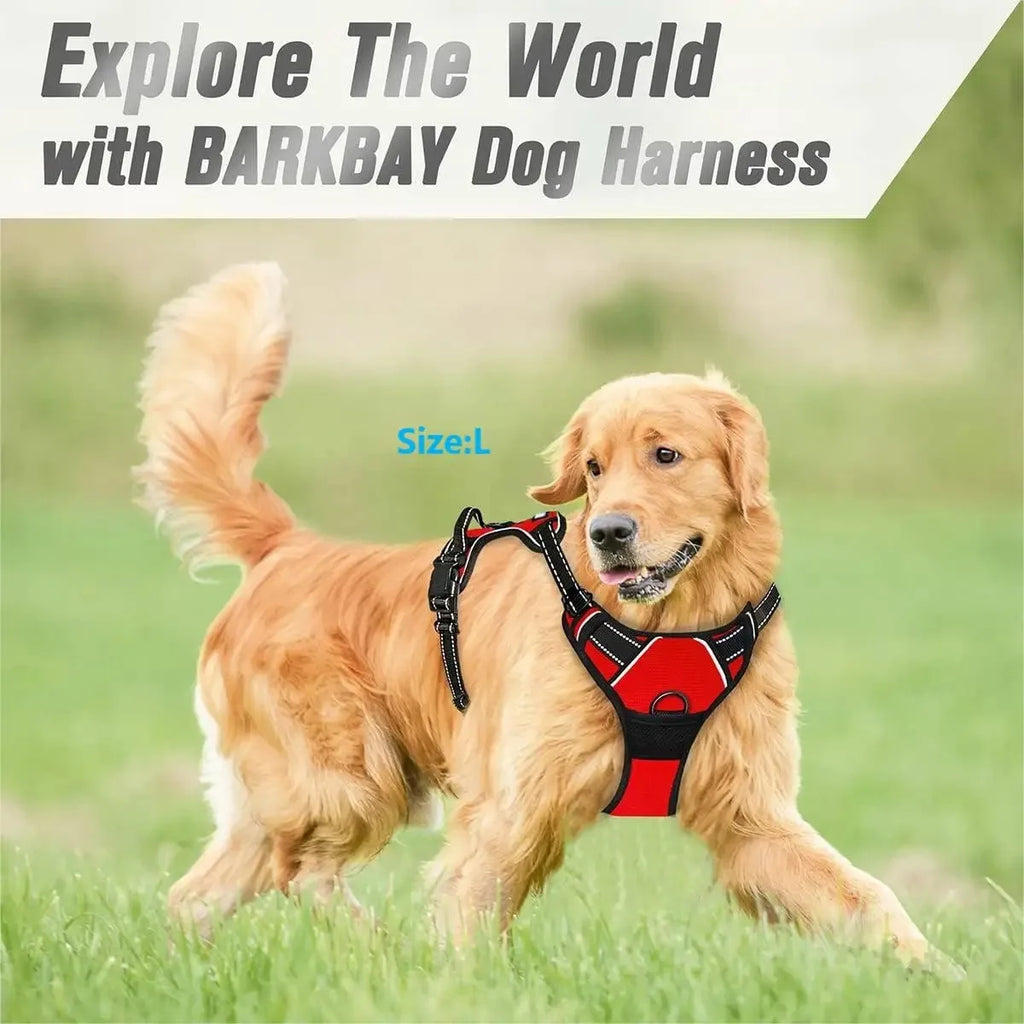 Dog Collars Harness Big Vests Leash Leather Accessories Medium Small Set
