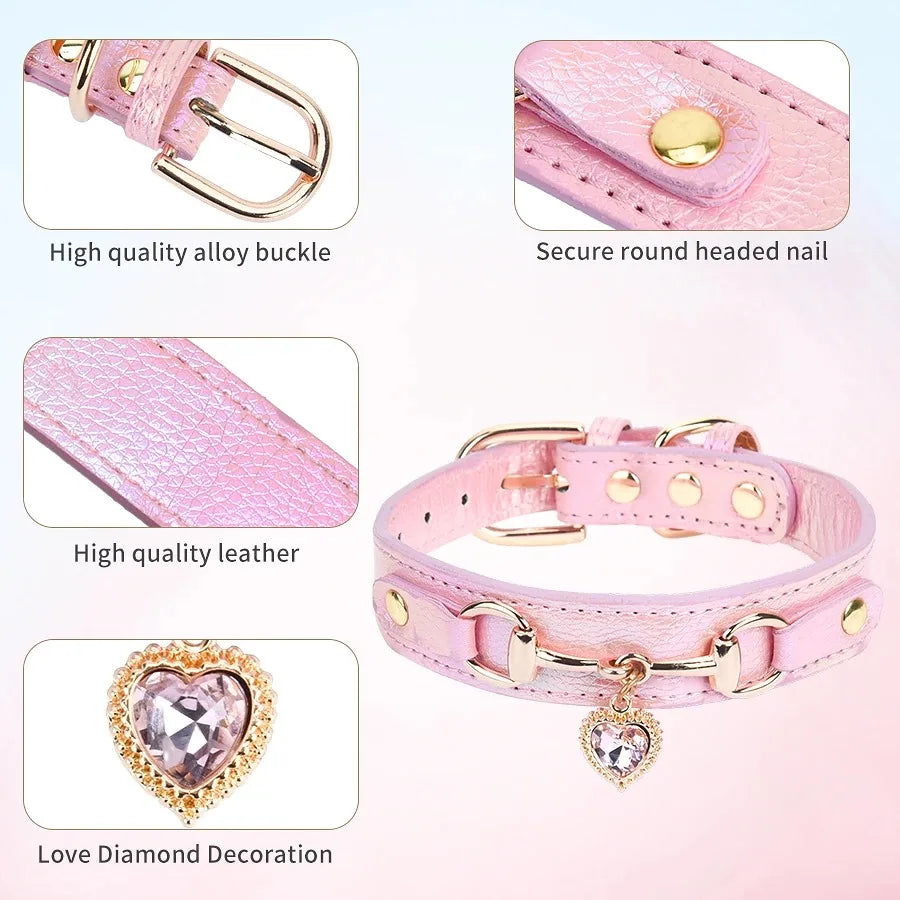 Pet Collar Anti-lost Daily Outdoor