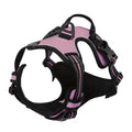 Dog Collars Harness Big Vests Leash Leather Accessories Medium Small Set