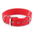 Solid Dog Collars  Nylon Dog Collar For Small Medium Large Dogs