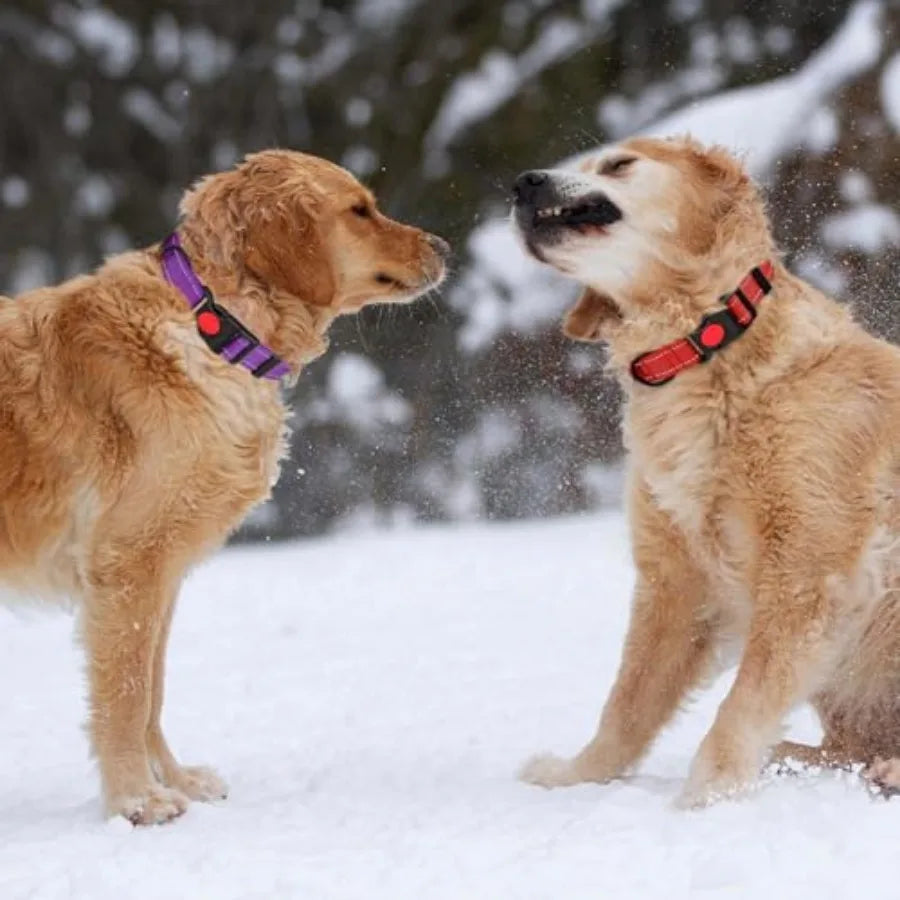 3 PCS Dog Collars for Small Dogs, Reflective Dog Collar Adjustable Soft Nylon with Safety Locking Buckle
