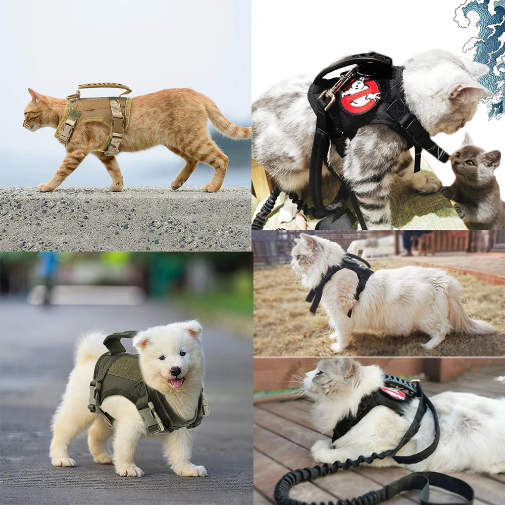 Tactical Puppy Harness Leash For Small Dogs Cats Adjustable Kitten Vest