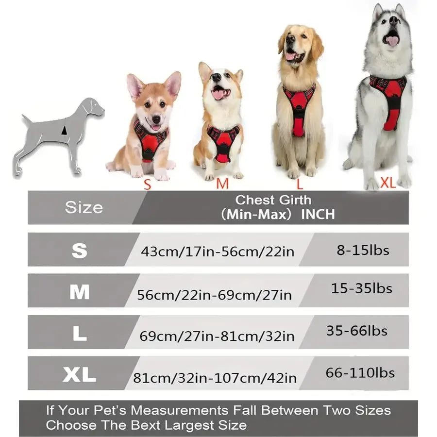 Dog Collars Harness Big Vests Leash Leather Accessories Medium Small Set